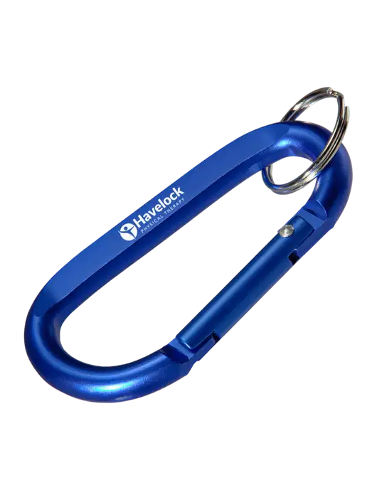 Blue Carabiner & Key Ring w/Havelock Logo