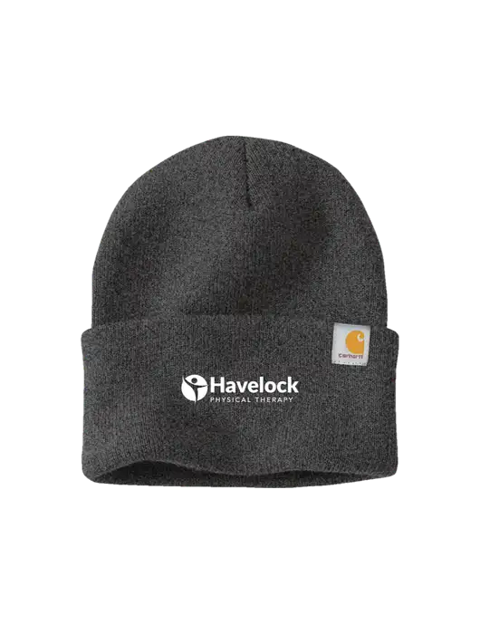 Carhartt Dark Grey Watch Cap 2.0 w/Havelock Logo