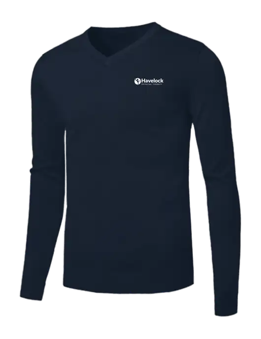 Brooks Brothers Navy Washable Merino V-Neck Sweater w/Havelock Logo