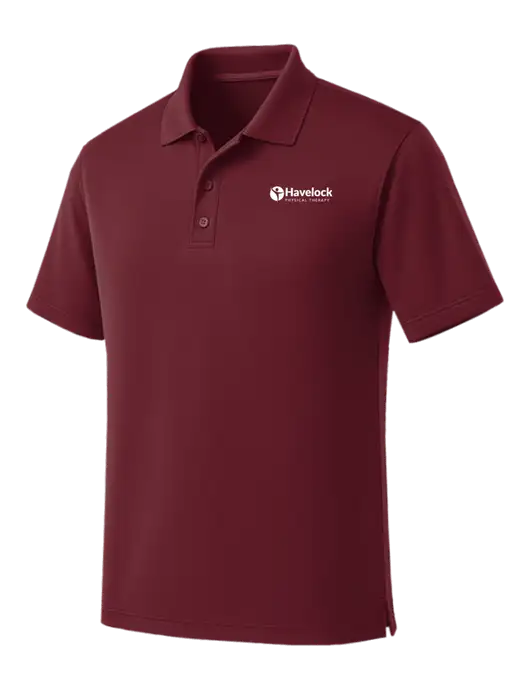 Maroon Dry Zone UV Micro Mesh Polo w/Havelock Logo