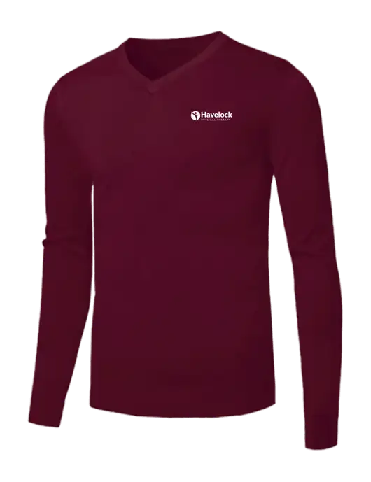 Brooks Brothers Cardinal Washable Merino V-Neck Sweater w/Havelock Logo