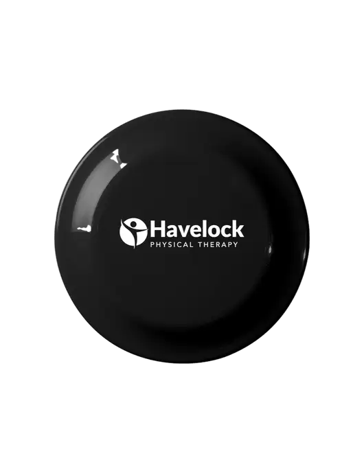 Fun Black Flying Disc w/Havelock Logo