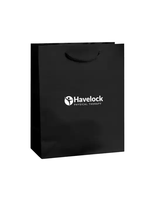 Black Gift Bag Matte 8x10 w/Havelock Logo